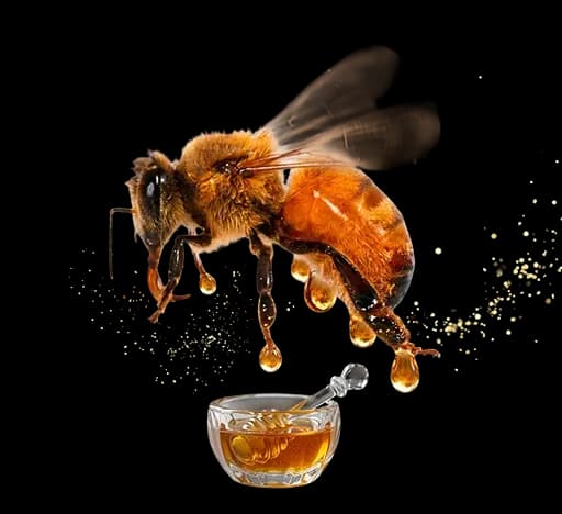 Honey bee over honey bowl